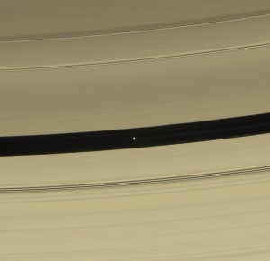Pan in the Encke Gap. Credit: NASA/JPL/Space Science Institute