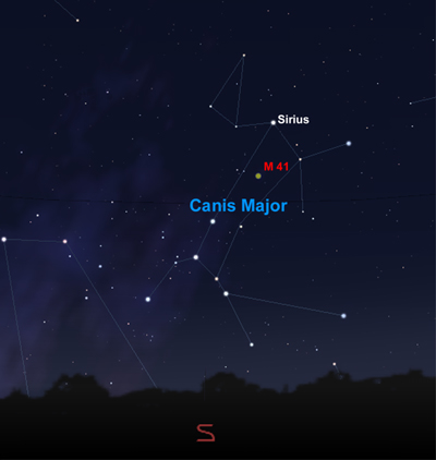 Canis Major showing the position of M41. Image:Stellarium/IM